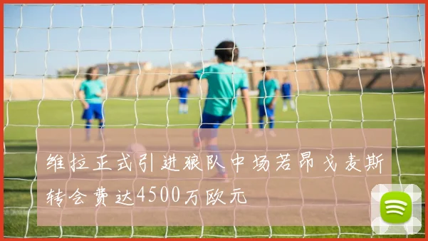 维拉正式引进狼队中场若昂戈麦斯转会费达4500万欧元